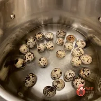 Step 4