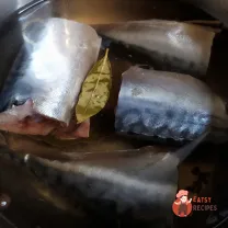 Step 9