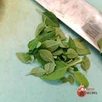 Step 13