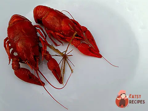 Раки вершкові