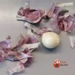 Step 7