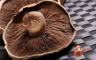 Сушені Гриби У Маринаді