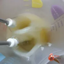 Step 8