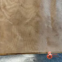 Step 11