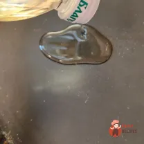 Step 21