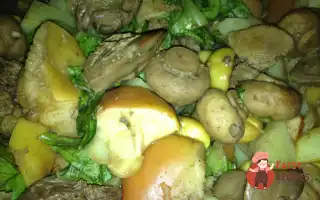 Теплий Салат З Курячою Печінкою Та Каштанами