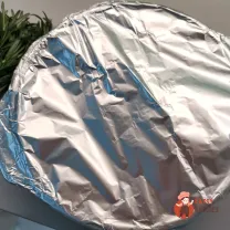 Step 9