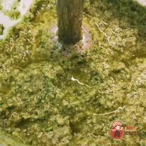Step 10