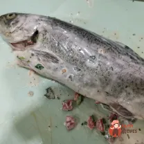 Step 7