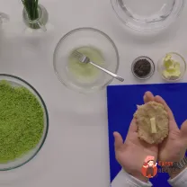 Step 9