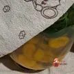 Step 11