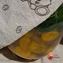 Step 11