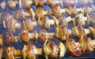 Шашлик З Овочів Та Грибів