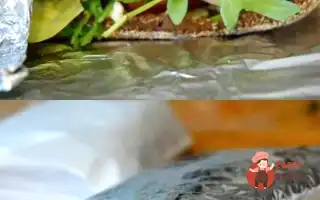 Сендвіч З Індичкою, Сиром Та Руколою