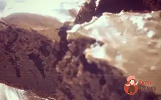 Шоколадний Брауні На Темному Пиві