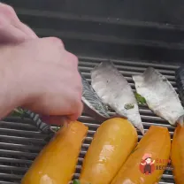 Step 4