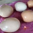 Step 6