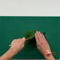 Step 5