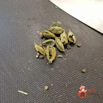 Step 5
