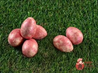 Маленькі шоколадні яйця з солоною карамеллю