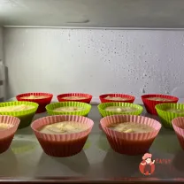 Step 11
