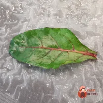 Step 5