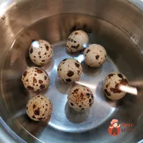 Step 2