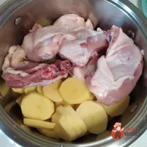 Step 12