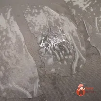 Step 8