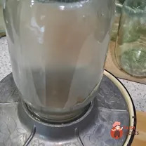 Step 7
